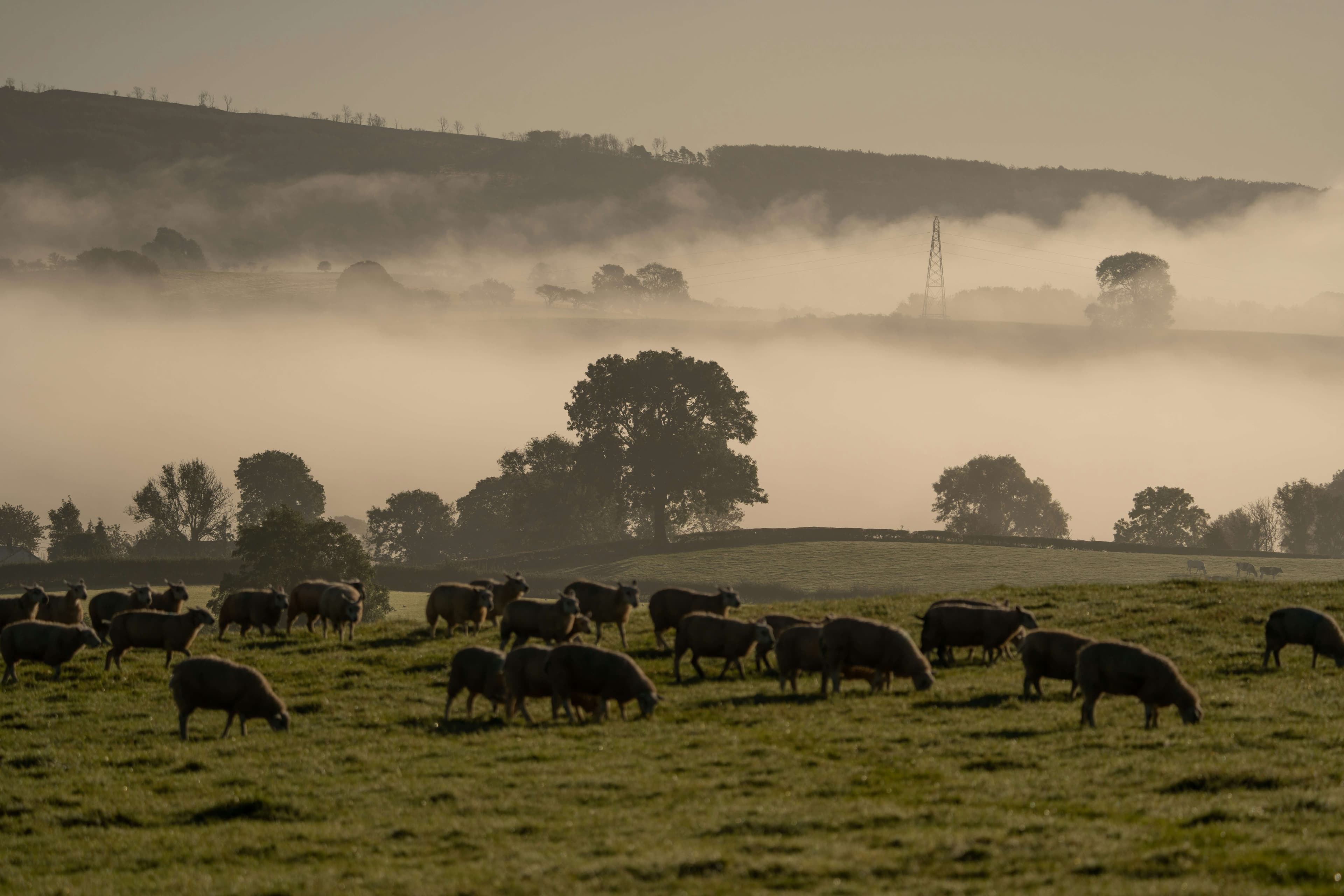 Close up of rich, dark soil in human hands